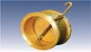 Swing Check Valves