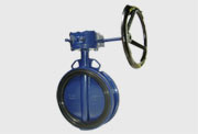 Butterfly Valve