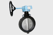 Butterfly Valve