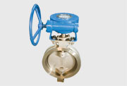 Butterfly Valve