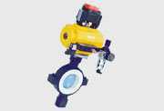Butterfly Valve