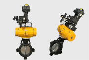 Butterfly Valve